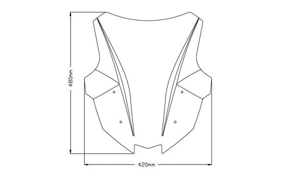 Kawasaki Ninja 1000 SX 20-24 plexi Puig 20471W 