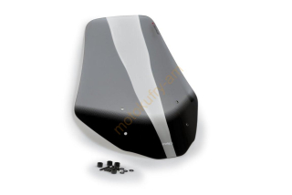 Pegaso Strada 650 05'-10'/TRAIL 06'-10' plexi PUIG 2165H